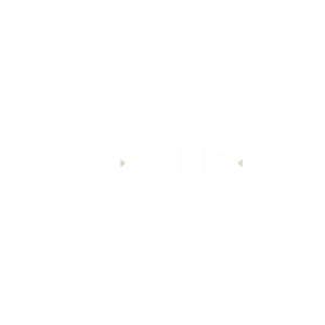 BLUESPIN88 Casino Logo