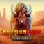 Wild Bison Spirit Hold And Win