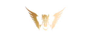 Pulibet Casino Logo