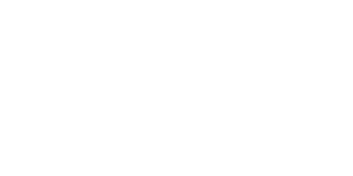 Pelipeto Casino Logo