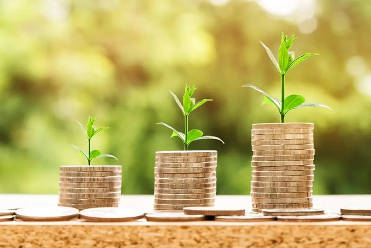 coins-on-piles-representing-profit
