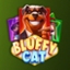 Bluffy Cat