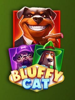 Bluffy Cat