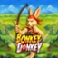Bonkey Donkey