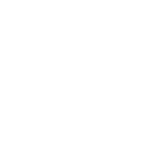 MintBingo Casino Logo