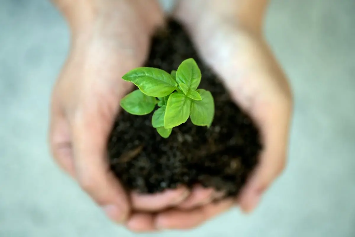 Sustainability effort