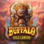 Buffalo Gold Canyon