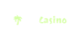 FijiCasino