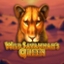 Wild Savannah's Queen