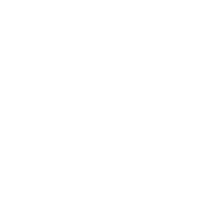 Feinbet Casino Logo