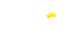 BitKingz Casino