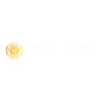 Metal Casino Logo