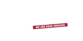 Lady Aida Casino logo