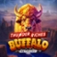 Thunder Riches: Buffalo