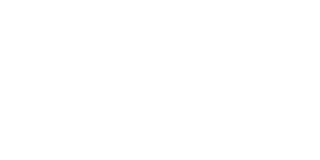 Chips.gg Casino logo