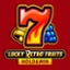 Lucky Retro Fruits Hold And Win