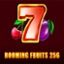Booming Fruits 256