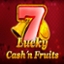 Lucky Cash'n Fruits