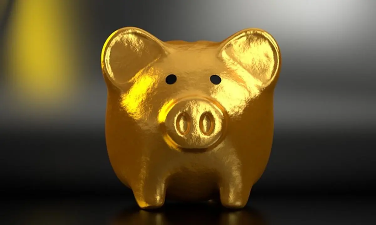 piggy-bank