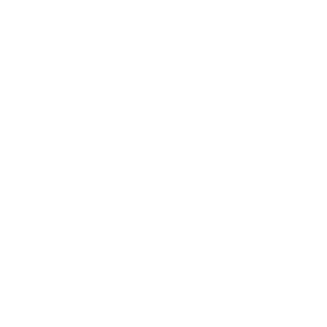 Betlix Casino Logo