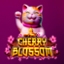 Cherry Blossom