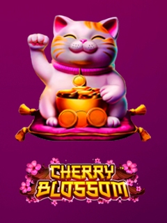 Cherry Blossom