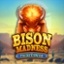 Bison Madness PrizeTower