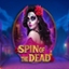 Spin of the Dead