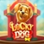 Lucky Dog