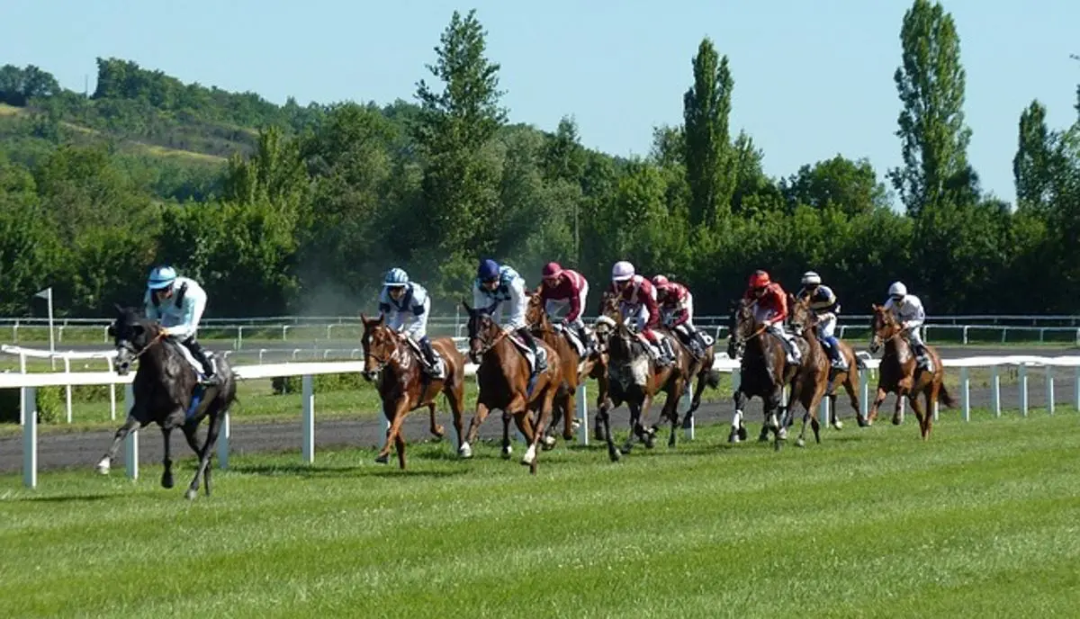 a-horse-race