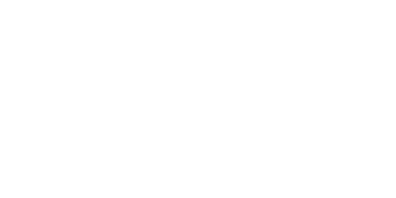 Bluff Casino Logo