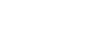 Bluff Casino logo