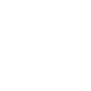 Bluff Casino Logo