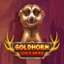 Goldhorn Wild Herd