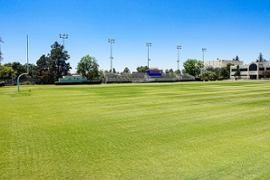 college-football-field