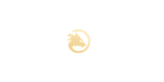 Wolf.io Casino Logo