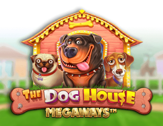 The Dog House Megaways 데모 모드로 무료 플레이하고 게임 리뷰