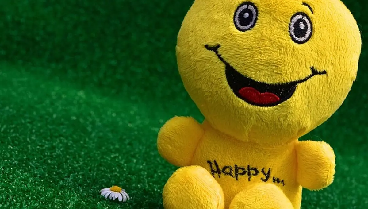 smiley-face-plush-toy