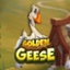 Golden Geese