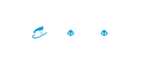 Magicspins Casino logo