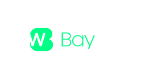 BayWin Casino logo