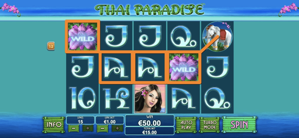 The purple flower is the Wild Scatter