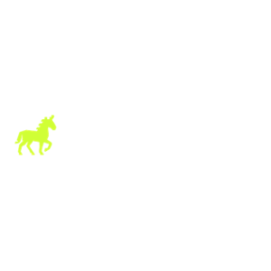 Bettorian Casino Logo