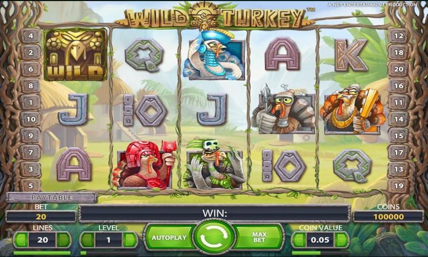 wild-turkey-screen.JPG