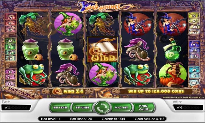 wild-witches-screen.JPG