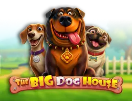 The Big Dog House