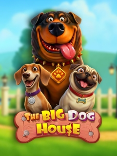The Big Dog House