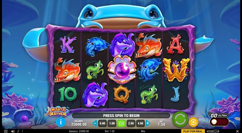 Manta Mayhem.jpg