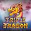 Triple Dragon
