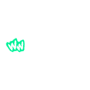 WildWin.io Casino Logo